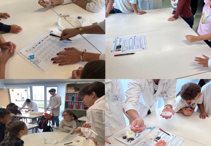 Despertar Ciência no Pré-escolar e no 1º Ciclo